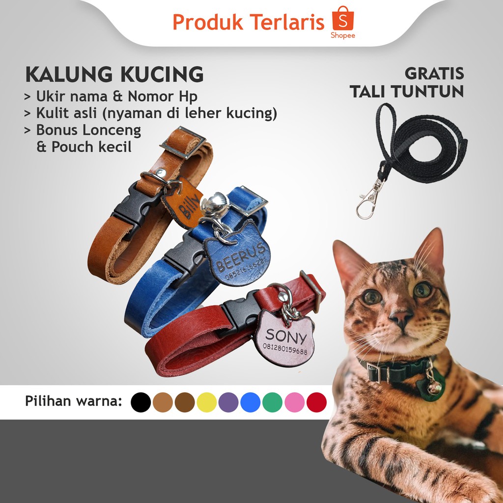 Download Gambar Kalung Kucing Nomer 44