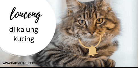 Detail Gambar Kalung Kucing Nomer 47