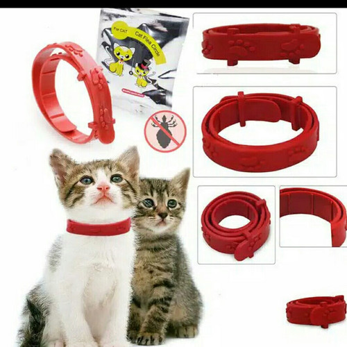 Detail Gambar Kalung Kucing Nomer 48