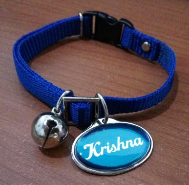 Detail Gambar Kalung Kucing Nomer 54