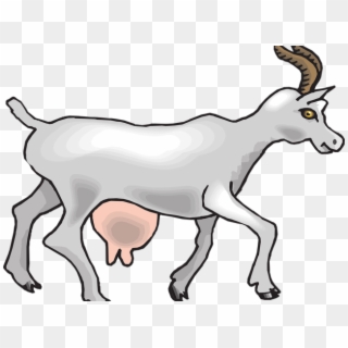 Detail Gambar Kambing Clipart Nomer 15