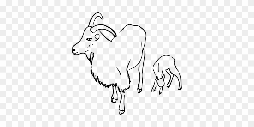 Detail Gambar Kambing Clipart Nomer 18