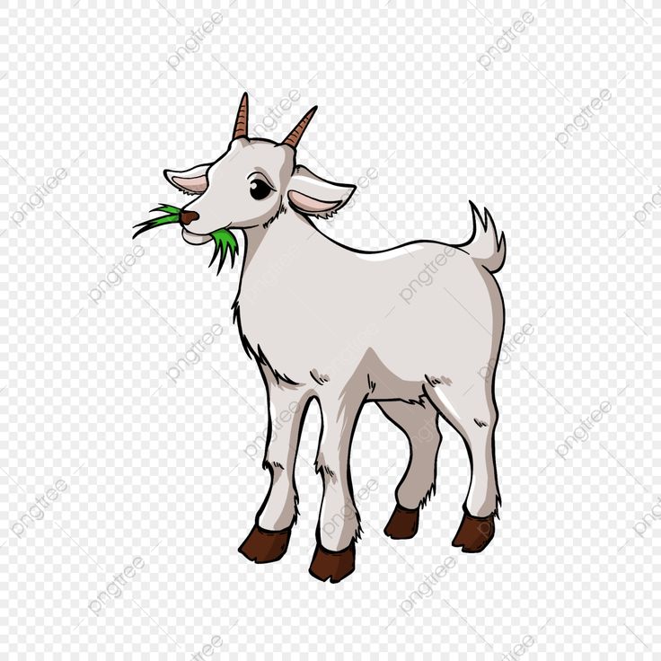 Detail Gambar Kambing Clipart Nomer 46