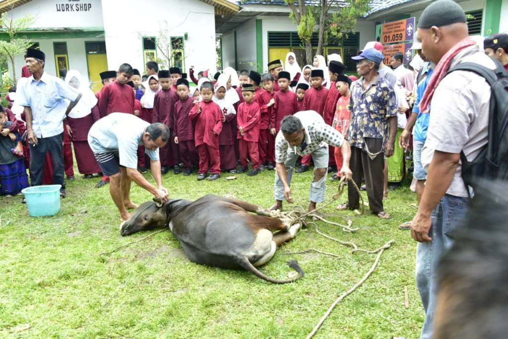 Detail Gambar Kambing Dan Sapi Nomer 27