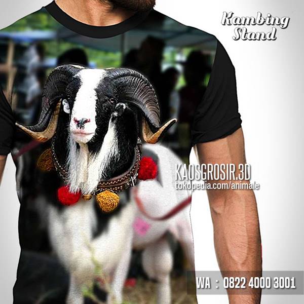 Detail Gambar Kambing Domba Nomer 28