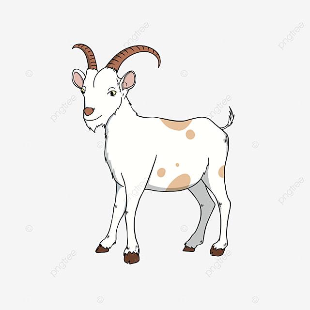 Detail Gambar Kambing Format Png Warna Nomer 3