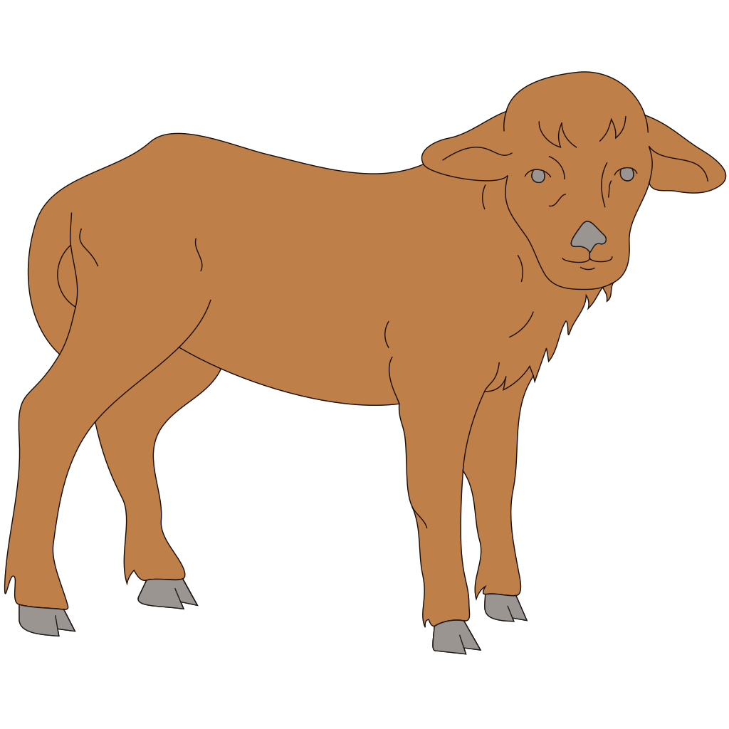 Detail Gambar Kambing Format Png Warna Nomer 23