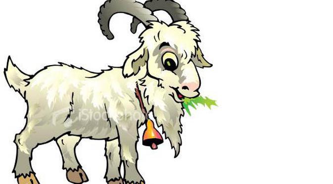 Detail Gambar Kambing Format Png Warna Nomer 34