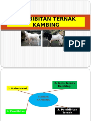 Detail Gambar Kambing Format Png Warna Nomer 53