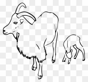 Detail Gambar Kambing Format Png Warna Kartun Nomer 34