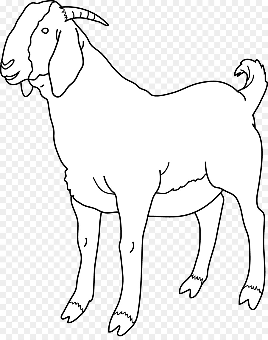 Detail Gambar Kambing Format Png Warna Kartun Nomer 43