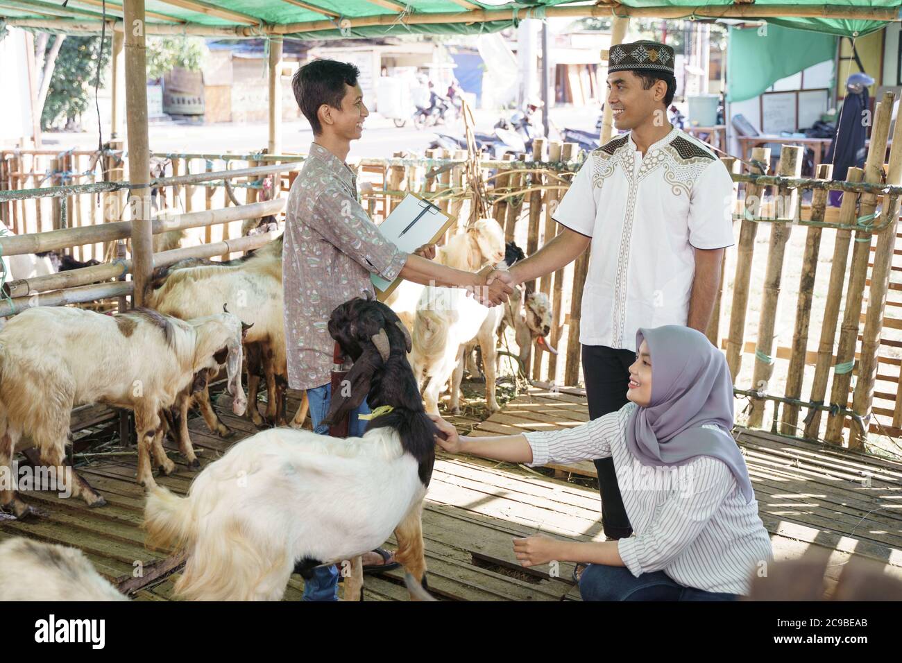 Detail Gambar Kambing Idul Adha Nomer 49