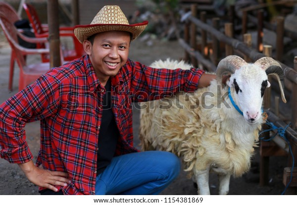 Detail Gambar Kambing Idul Adha Nomer 9