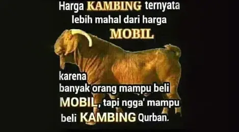 Detail Gambar Kambing Kurban Lucu Nomer 24