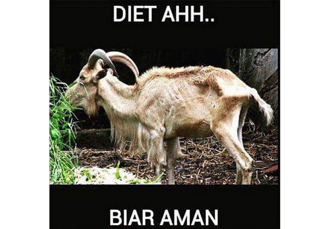 Download Gambar Kambing Lucu Gokil Nomer 24