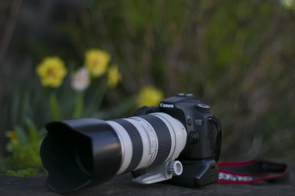 Detail Gambar Kamera Canon Nomer 38