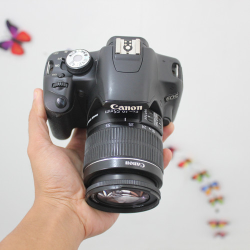 Detail Gambar Kamera Canon 500d Nomer 27