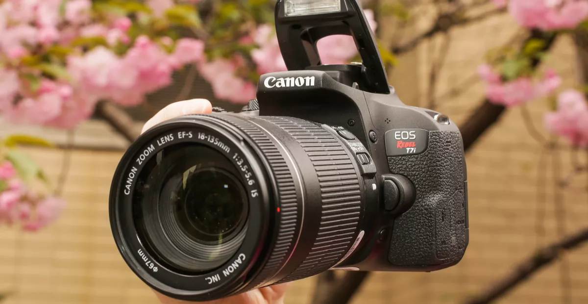 Detail Gambar Kamera Canon Dslr Nomer 20