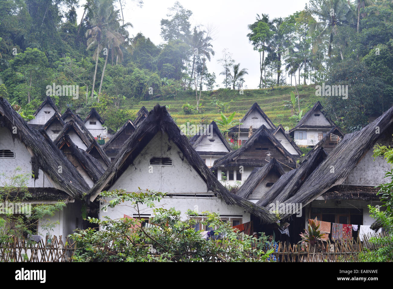 Detail Gambar Kampung Naga Nomer 21