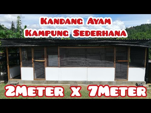 Detail Gambar Kandang Ayam Kampung Sederhana Nomer 37