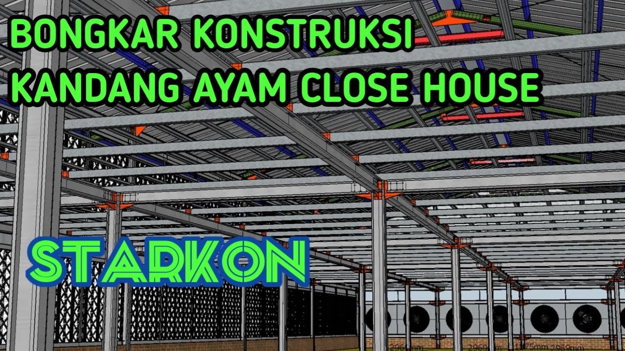 Detail Gambar Kandang Ayam Potong Nomer 49