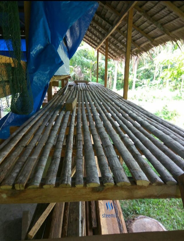 Detail Gambar Kandang Ayam Potong Dari Bambu Nomer 6