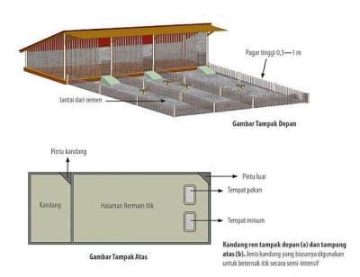 Detail Gambar Kandang Bebek Nomer 49