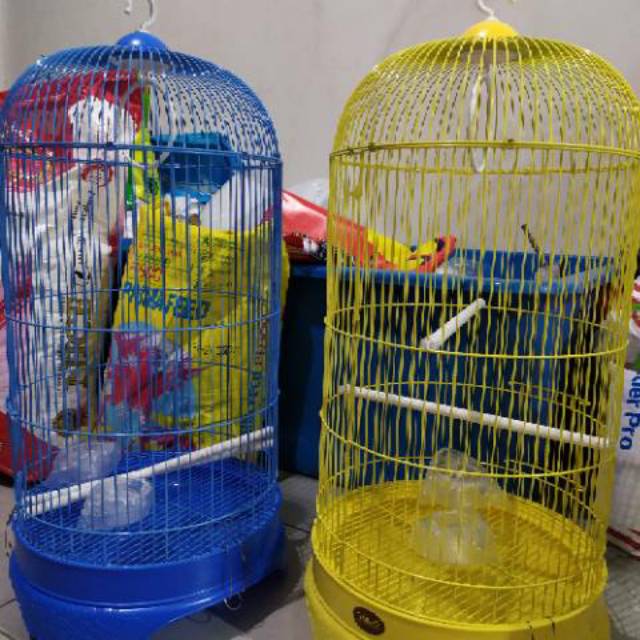 Detail Gambar Kandang Burung Lovebird Nomer 25