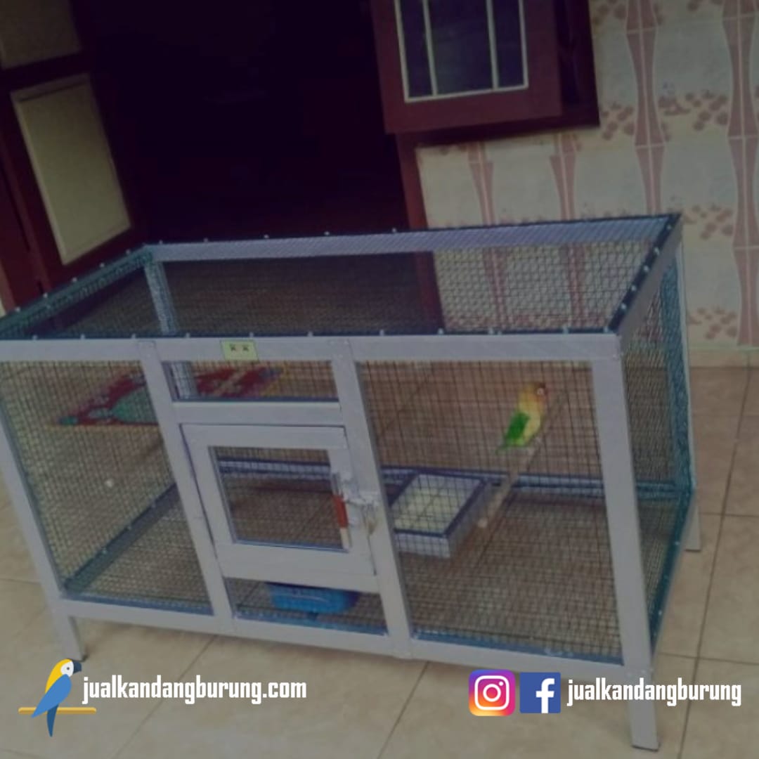 Detail Gambar Kandang Burung Lovebird Nomer 52