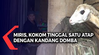 Detail Gambar Kandang Domba Bantuan Pemerintah Nomer 25