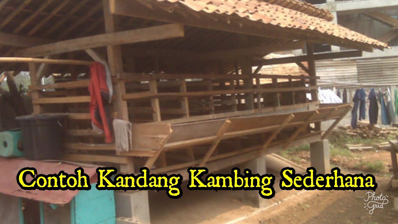 Detail Gambar Kandang Kambing Sederhana Nomer 2