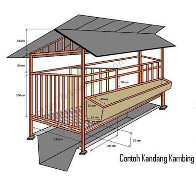 Detail Gambar Kandang Kambing Sederhana Nomer 35