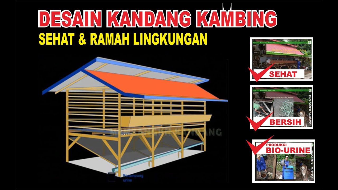 Detail Gambar Kandang Kambing Sederhana Nomer 4