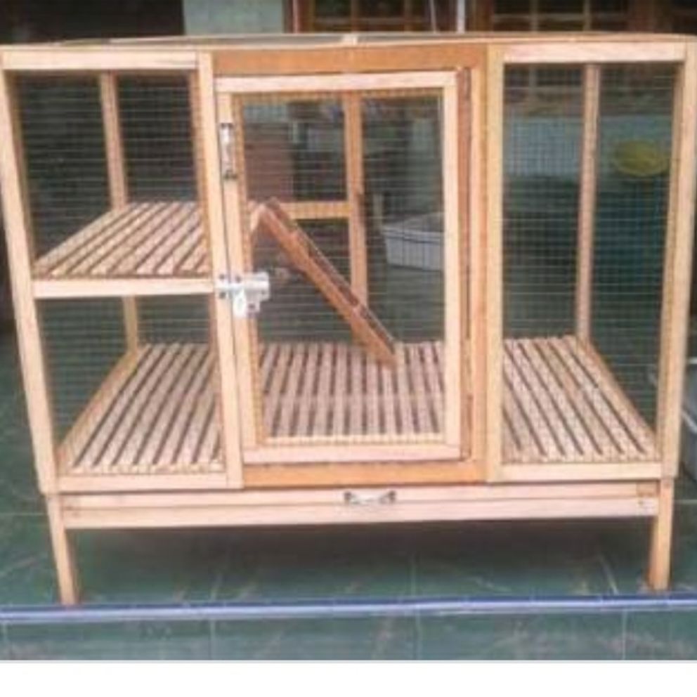 Detail Gambar Kandang Kucing Dari Kayu Nomer 2