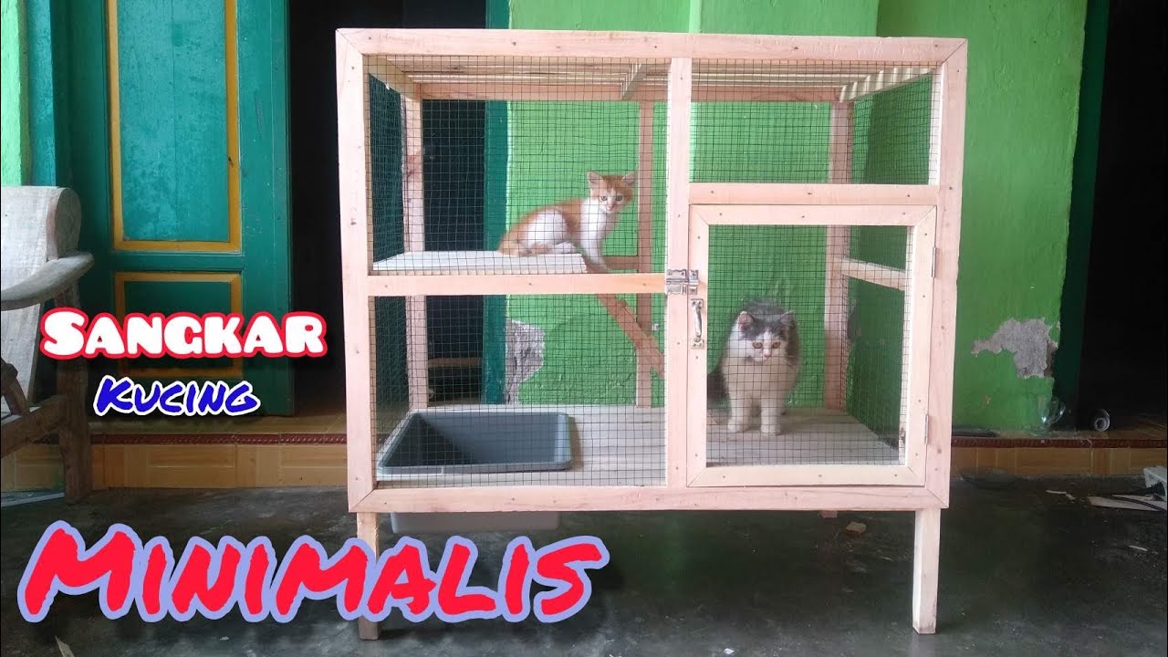 Detail Gambar Kandang Kucing Dari Kayu Nomer 12