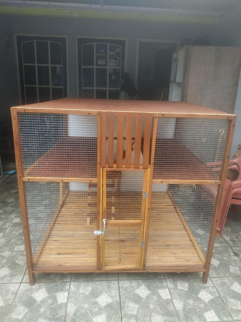 Detail Gambar Kandang Kucing Dari Kayu Nomer 19