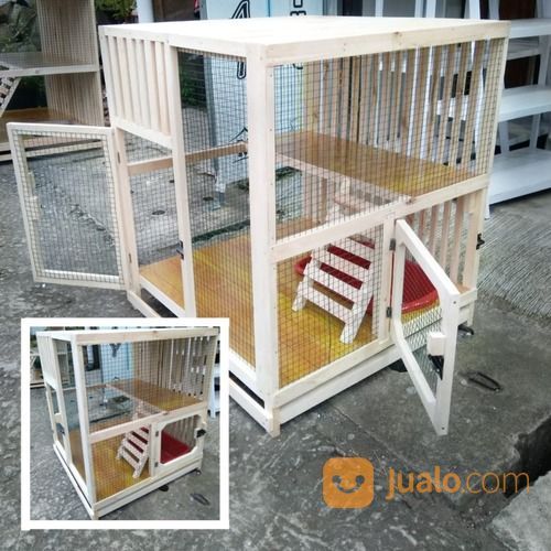 Detail Gambar Kandang Kucing Dari Kayu Nomer 30