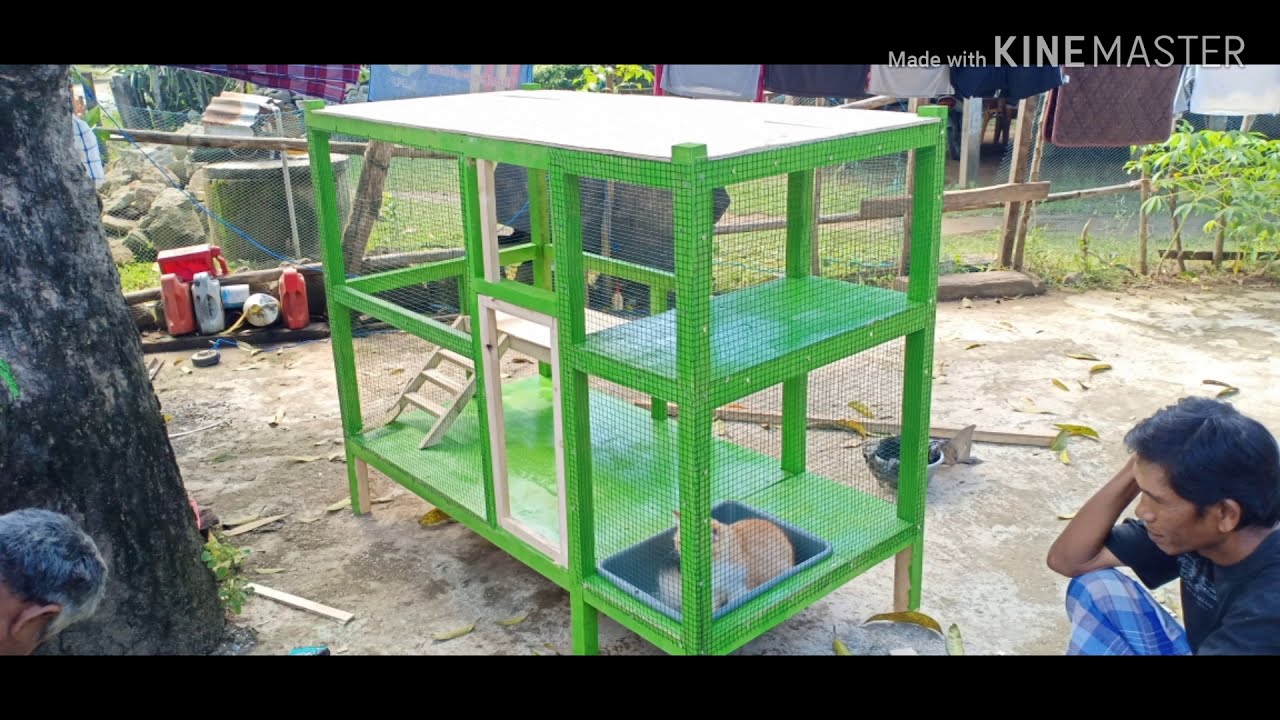 Detail Gambar Kandang Kucing Dari Kayu Nomer 50