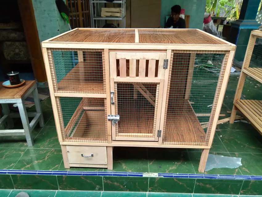 Detail Gambar Kandang Kucing Dari Kayu Nomer 52