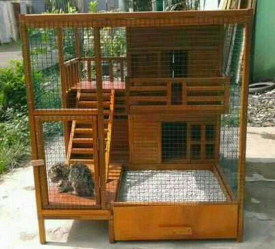 Detail Gambar Kandang Kucing Dari Kayu Nomer 8