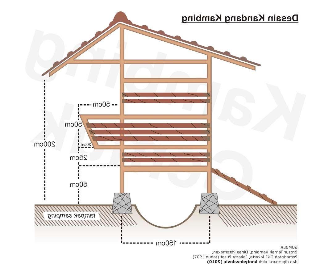 Detail Gambar Kandang Paddock Nomer 10