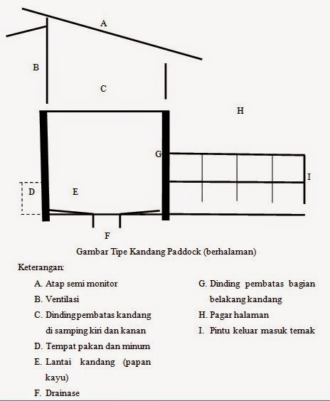 Detail Gambar Kandang Peddok Nomer 2