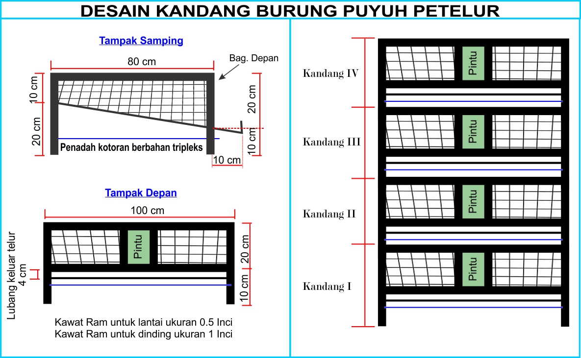 Detail Gambar Kandang Puyuh Dan Ukurannya Nomer 14