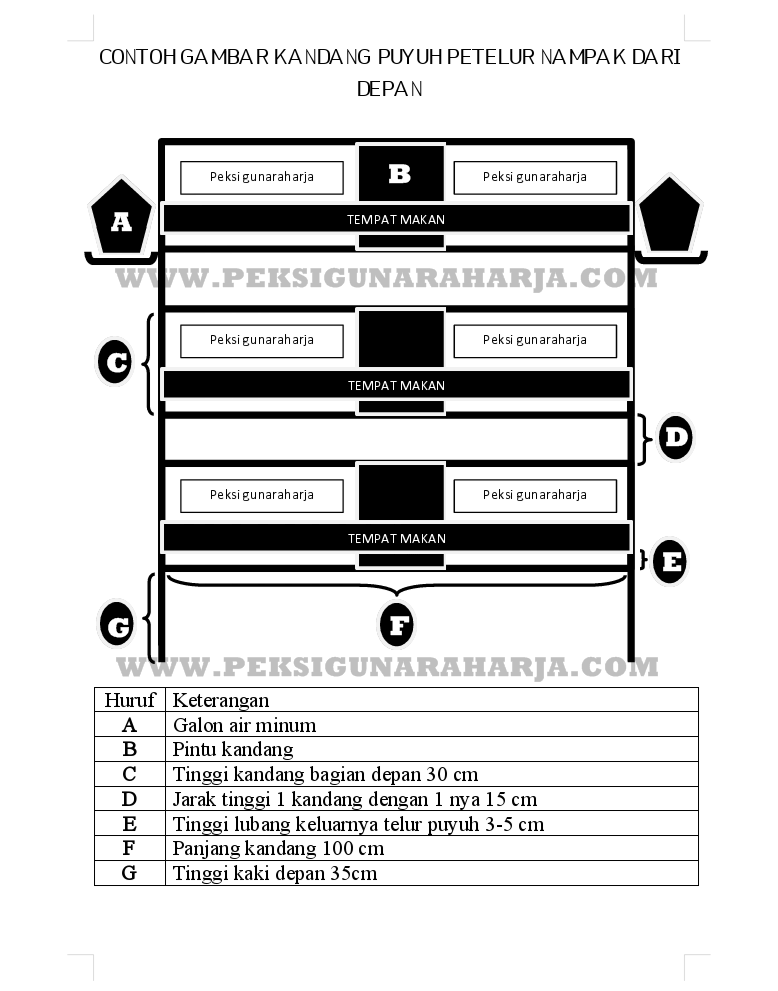 Detail Gambar Kandang Puyuh Dan Ukurannya Nomer 33