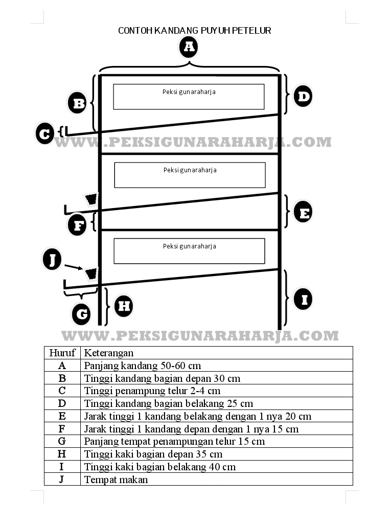 Detail Gambar Kandang Puyuh Modern Nomer 30