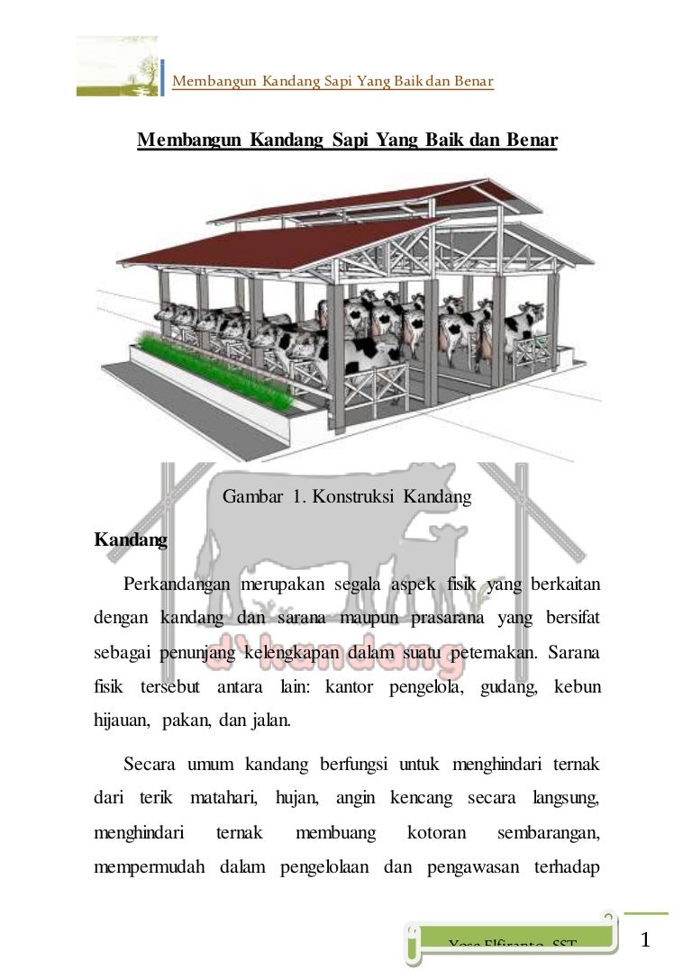 Detail Gambar Kandang Sapi Yang Bagus Nomer 36