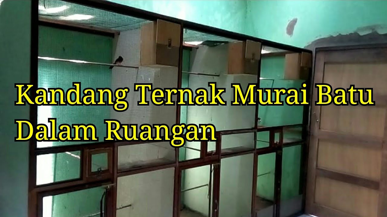 Detail Gambar Kandang Ternak Murai Nomer 32