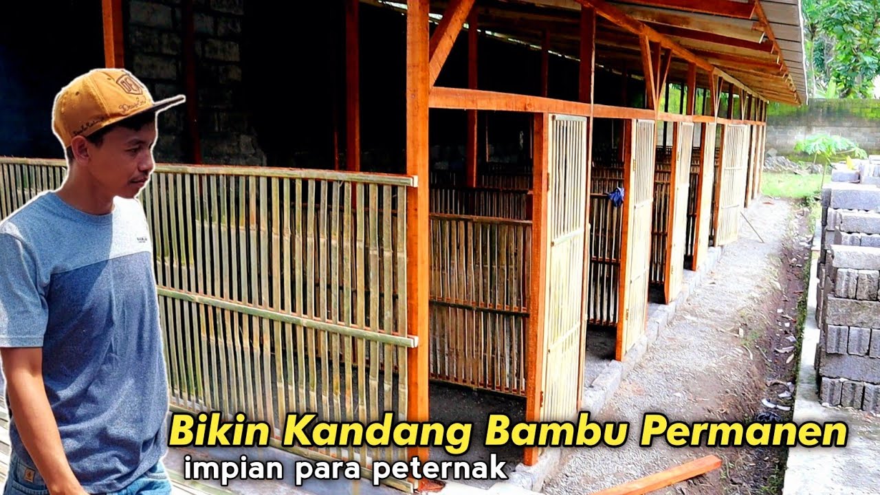 Detail Gambar Kandang Umbaran Ayam Bangkok Nomer 9