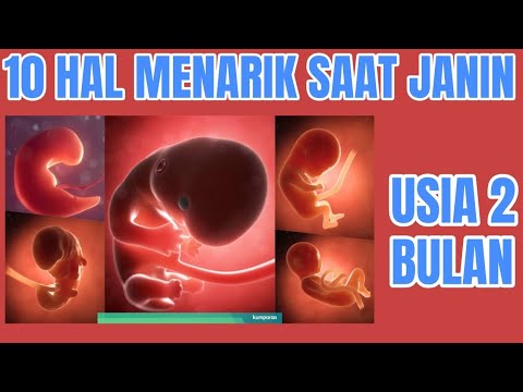 Detail Gambar Kandungan 2 Bulan Nomer 24