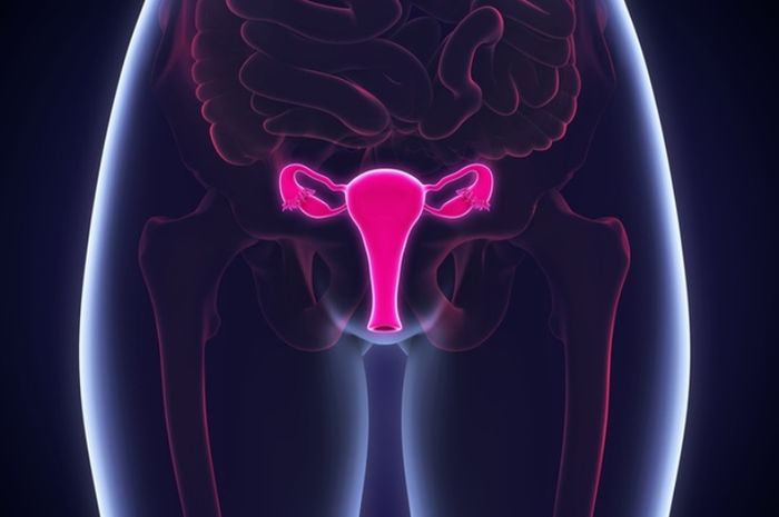 Detail Gambar Kanker Pada Pada Wanita Nomer 24